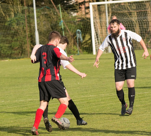 B席能够从 B席能够从