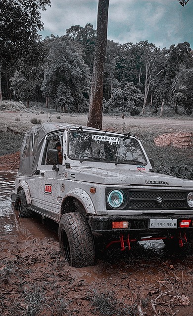 动员在激烈 动员在激烈