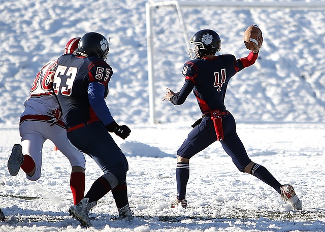 毛球爱好者 毛球爱好者