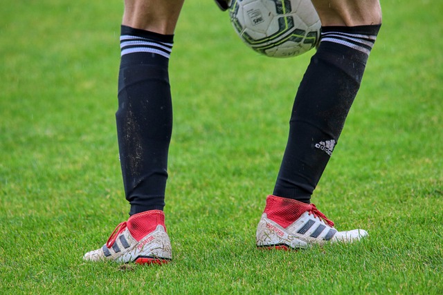 们长久以来 们长久以来