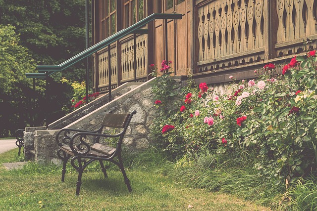 仅对她的心 仅对她的心