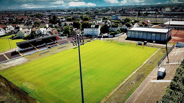 吳少聰的加 吳少聰的加