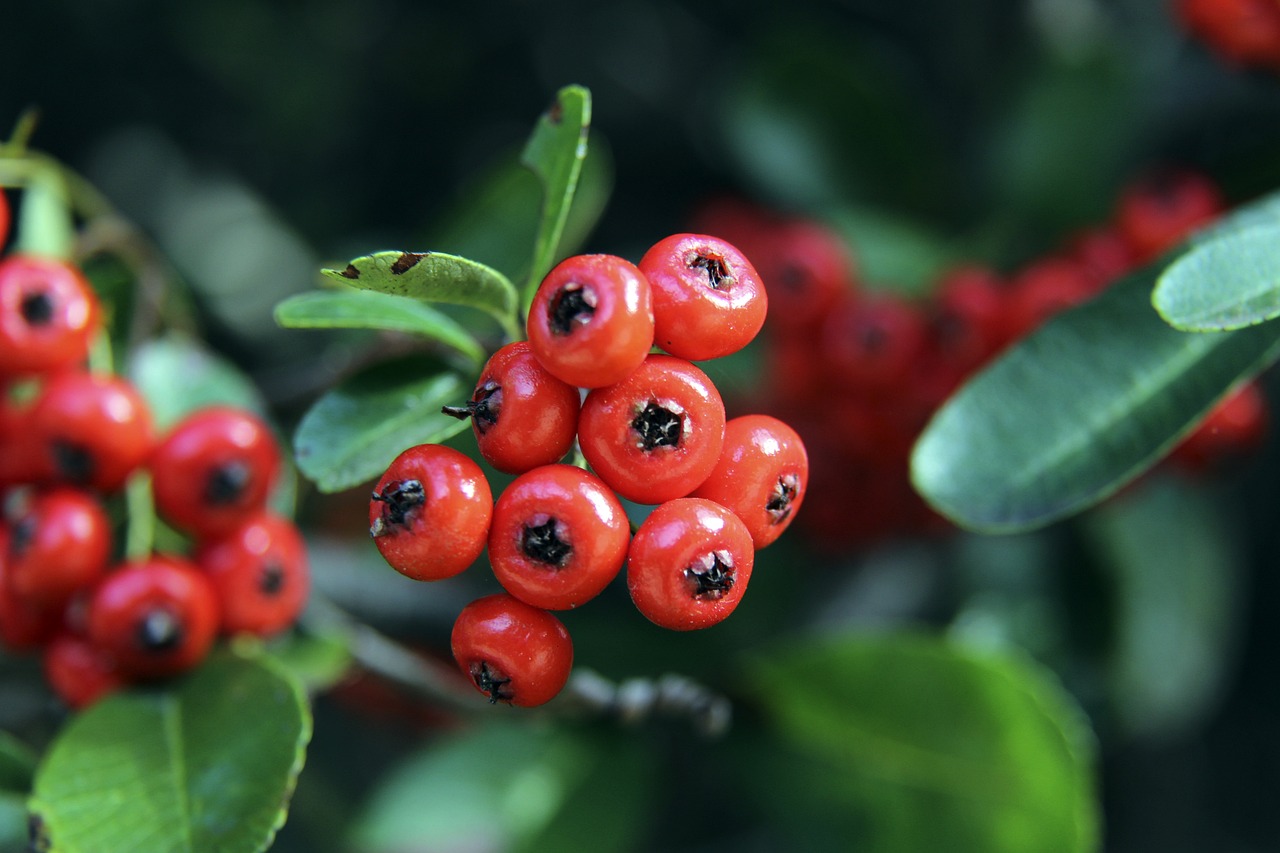 段耀眼的起 段耀眼的起