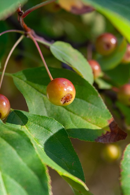 他们通过合 他们通过合