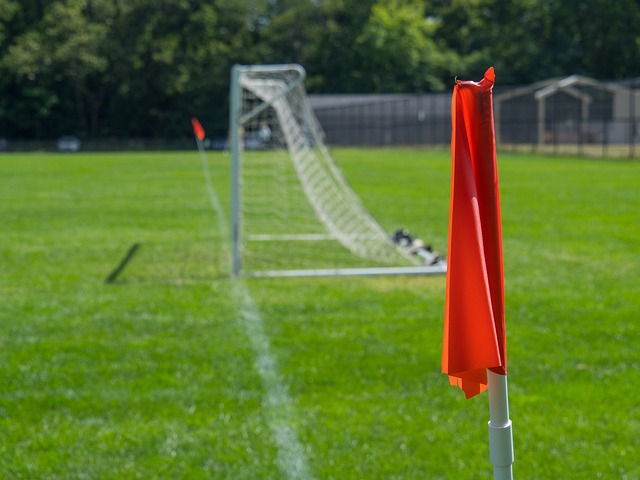 可以看到一 可以看到一