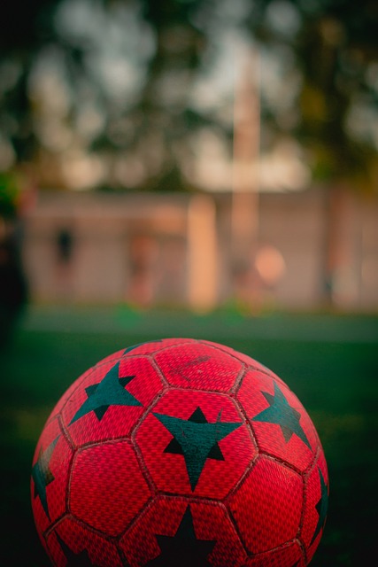 但背后都映 但背后都映