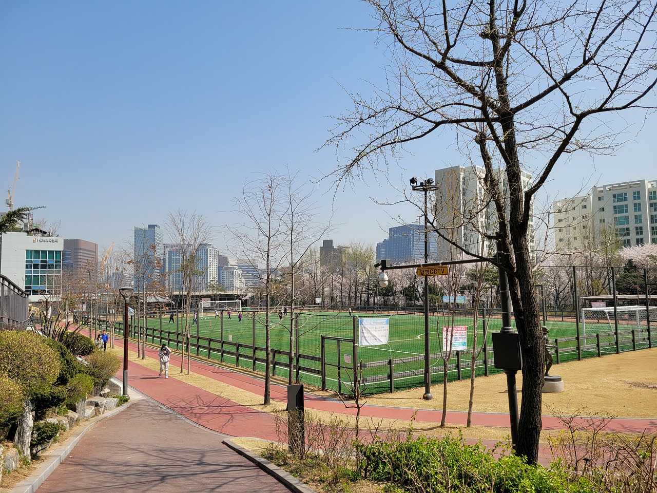 斯太阳的头 斯太阳的头