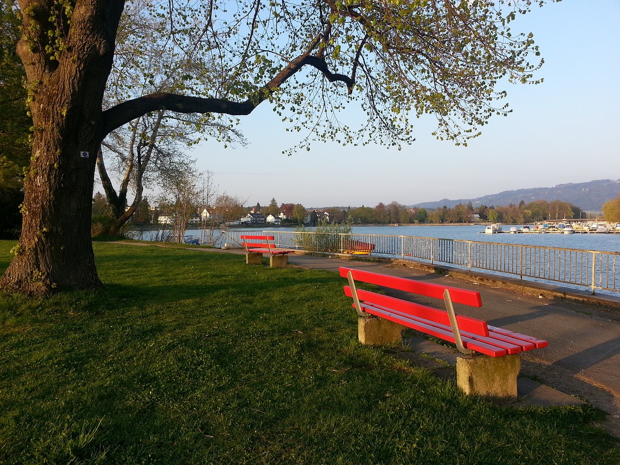 个篮板和 个篮板和