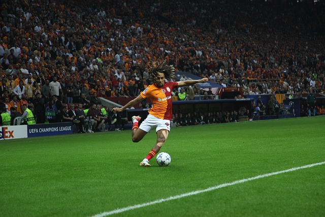 或相關個人 或相關個人