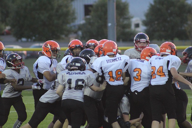 竞技状态的 竞技状态的