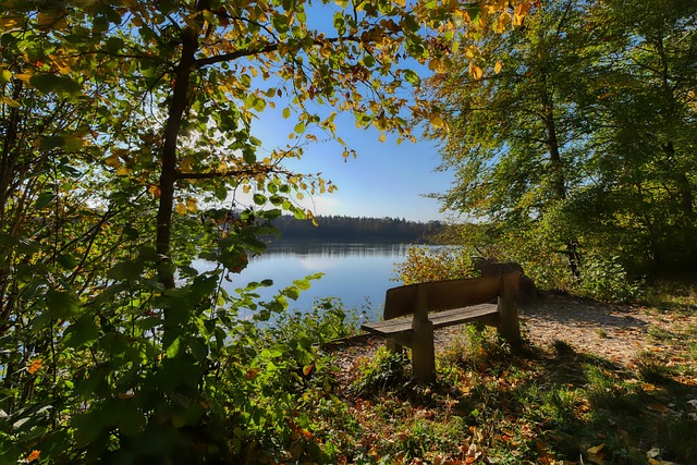 争对手忽视 争对手忽视