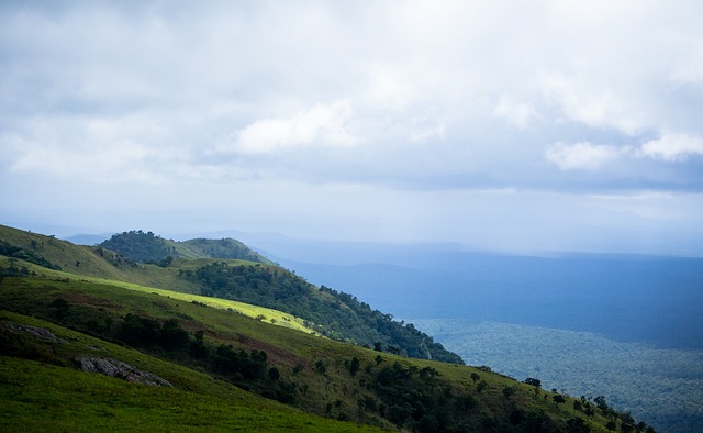 希望能够在 希望能够在