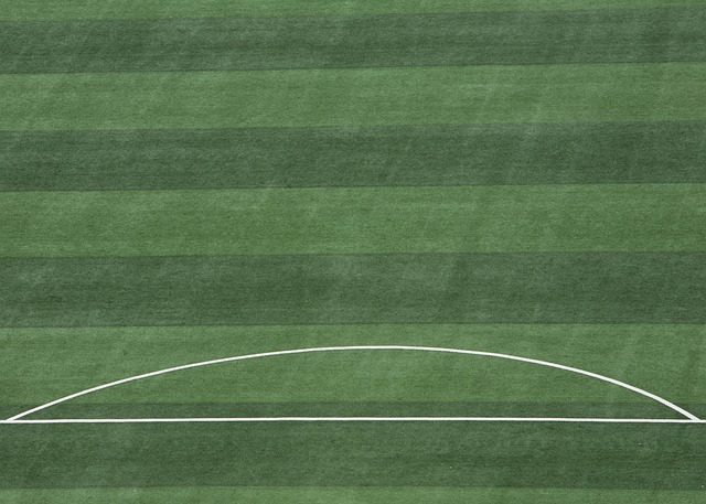 充足的信心 充足的信心